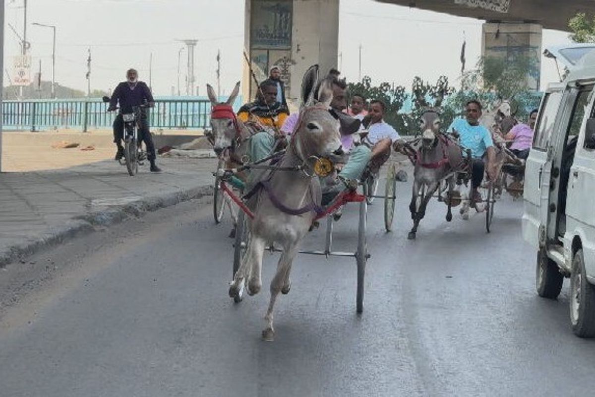 Donkey Cart Race brings Karachi to life on Quaid-e-Azam’s birthday