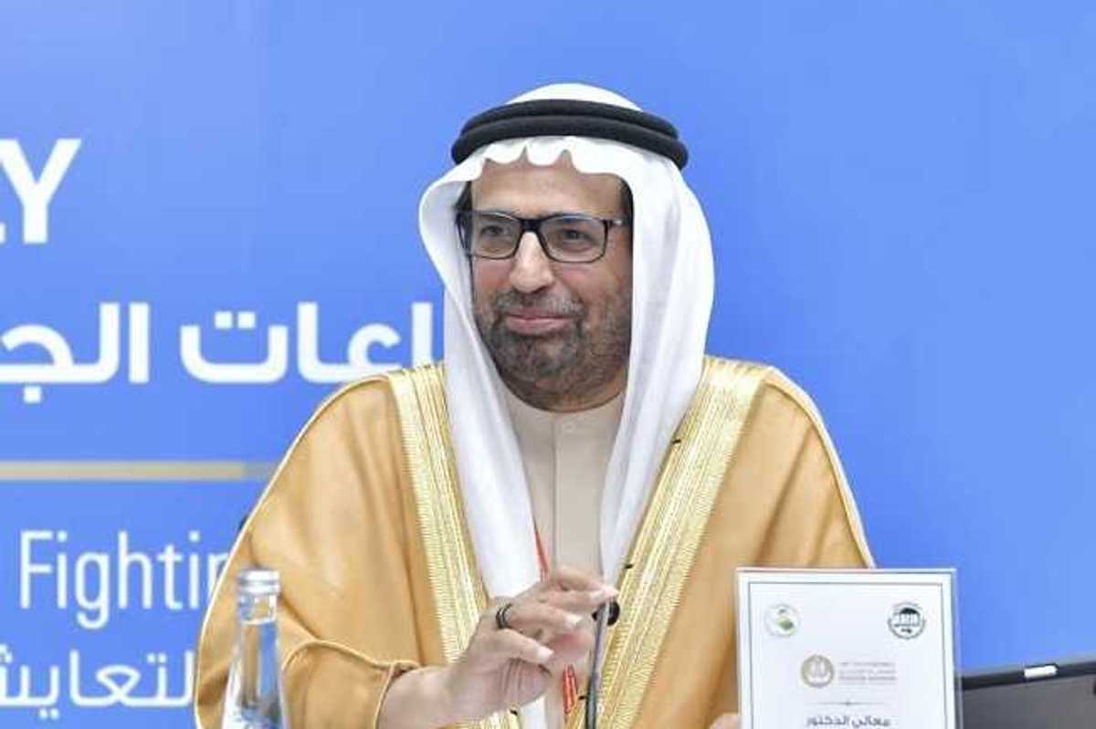 Saudi Arabia must decide response to Houthi attacks, says UAE official