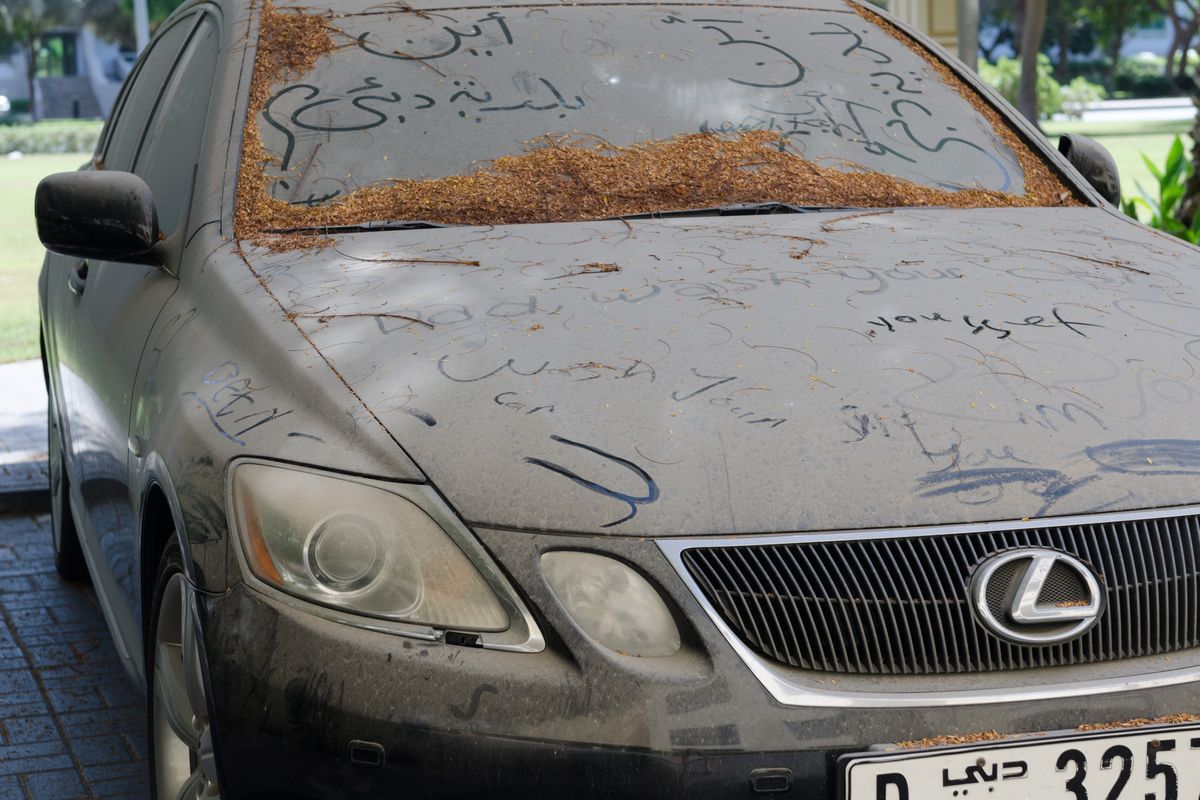 Living in the UAE: Surprising laws from tidy cars to texting etiquettes