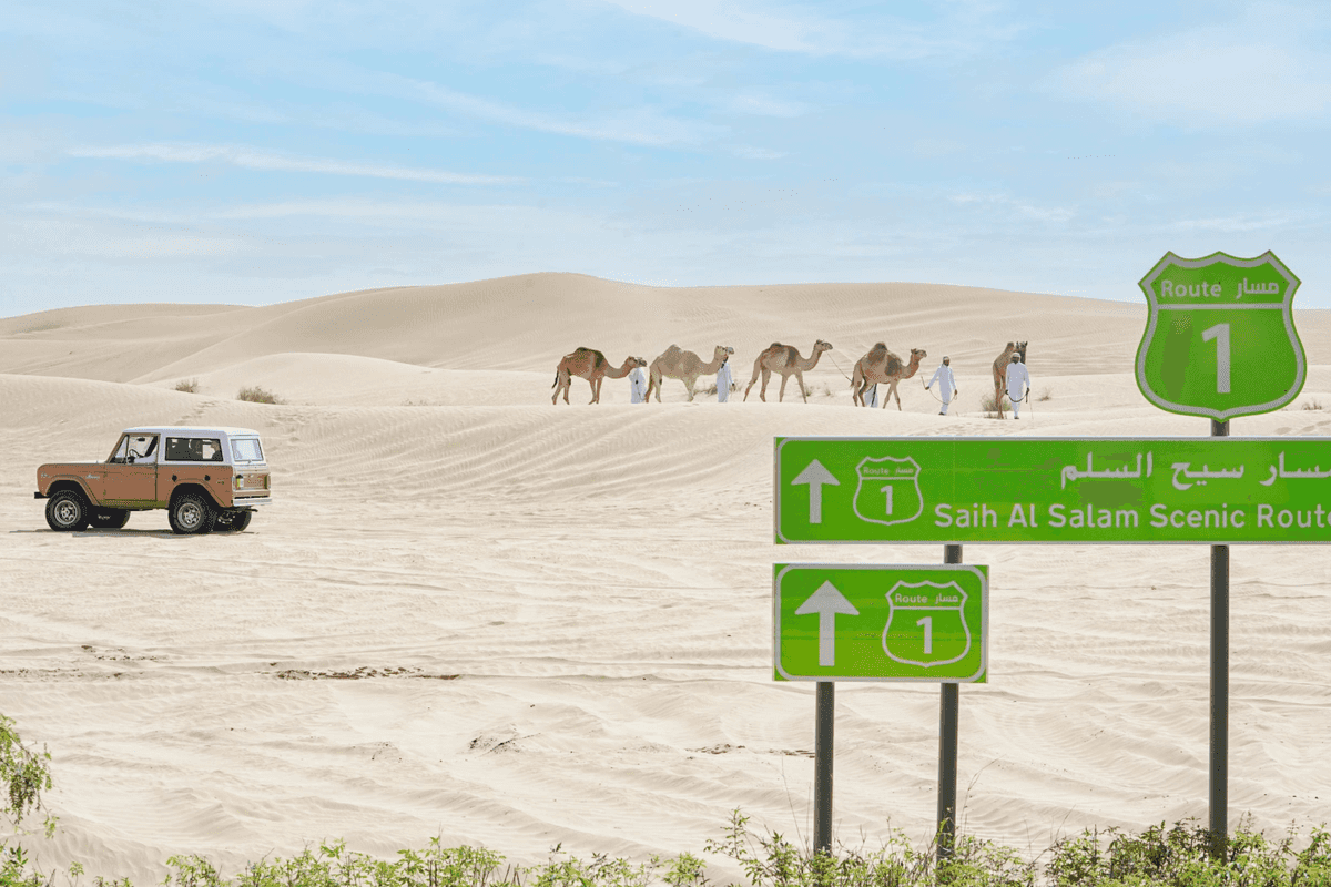 Sheikh Hamdan approves master plan for major rural development projects