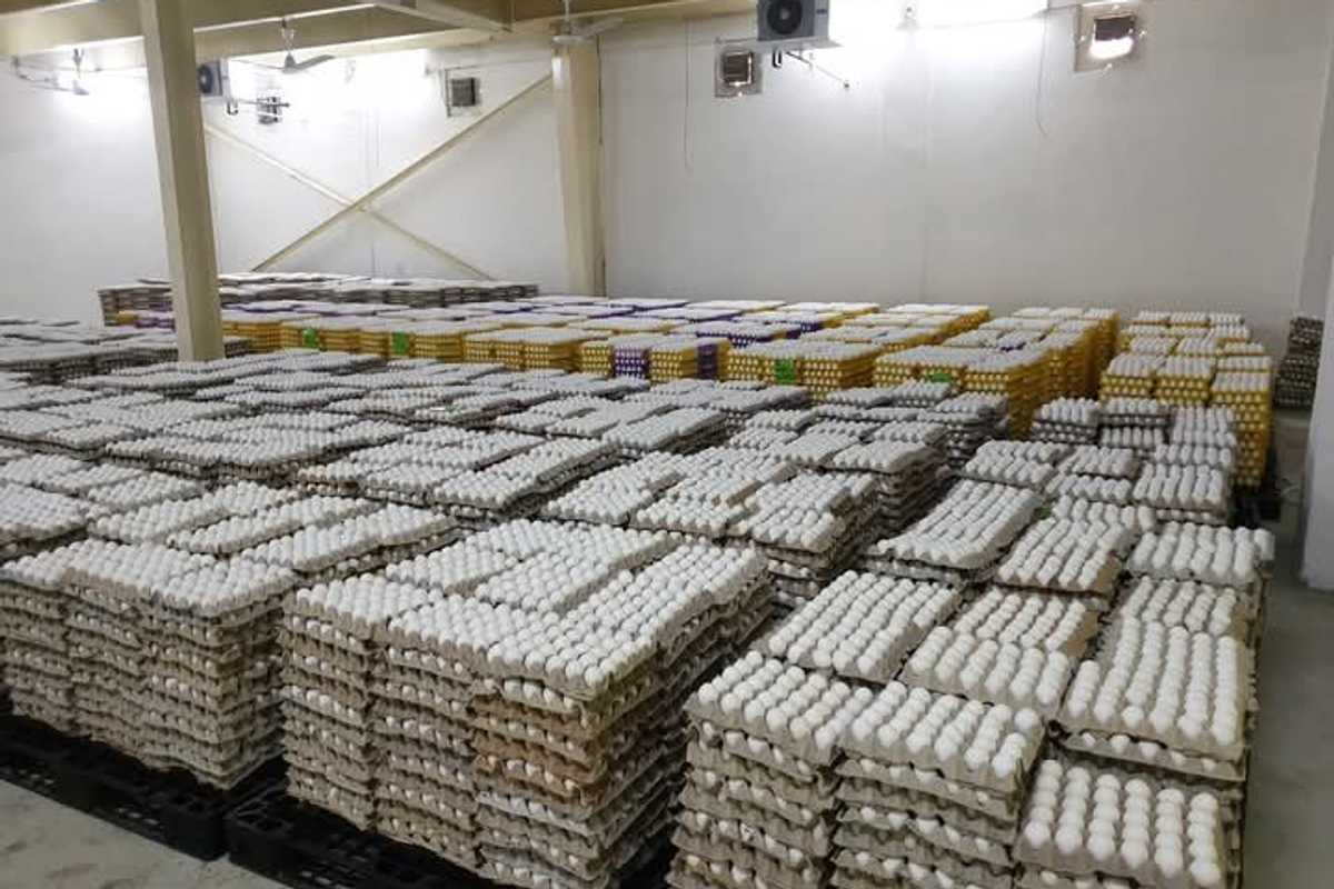 Pakistan's first pasteurized egg producer plans to go public