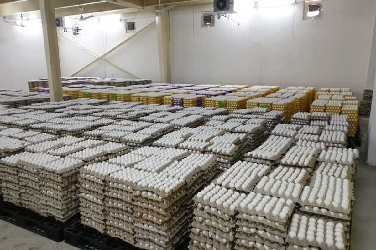 Pakistan's first pasteurized egg producer plans to go public