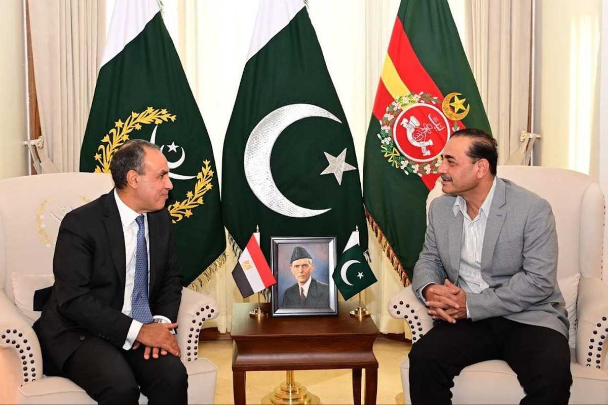 Pakistan, Egypt reaffirm strategic partnership in high-level meeting