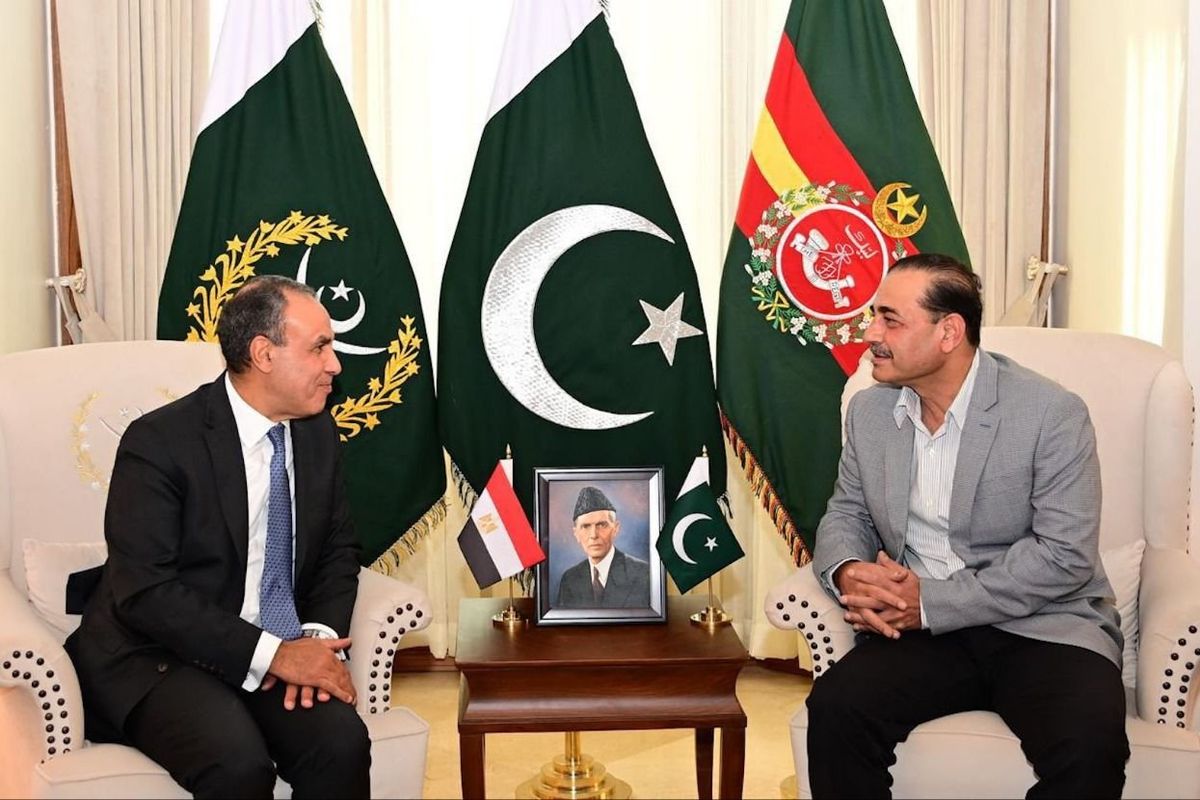 Pakistan, Egypt reaffirm strategic partnership in high-level meeting