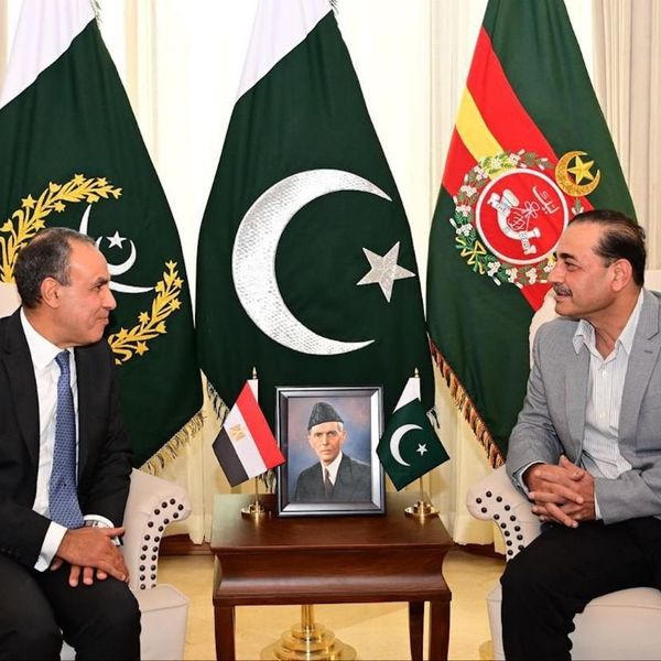 Pakistan, Egypt reaffirm strategic partnership in high-level meeting