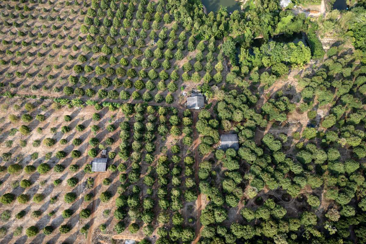 Global farm incomes to rise 9% by 2035 despite growing risks