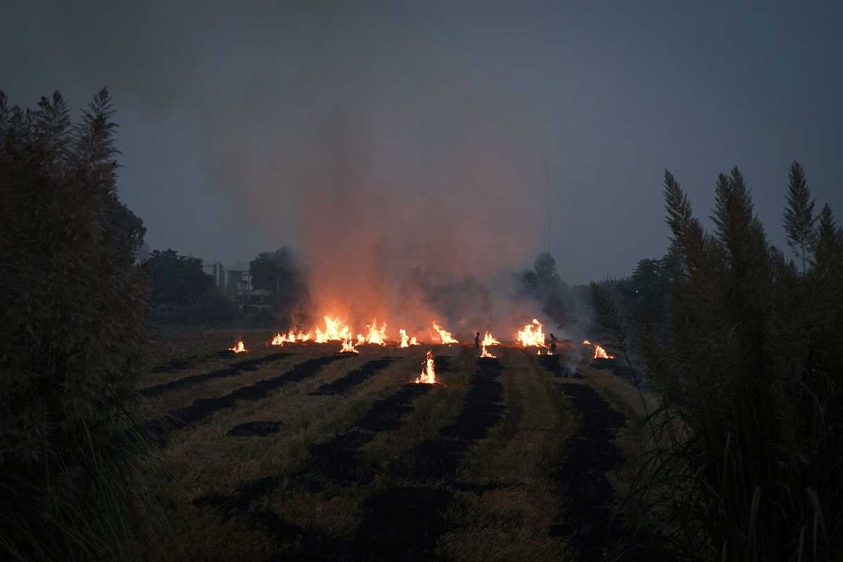 India, Pakistan arrest farmers for burning crop waste as pollution rises