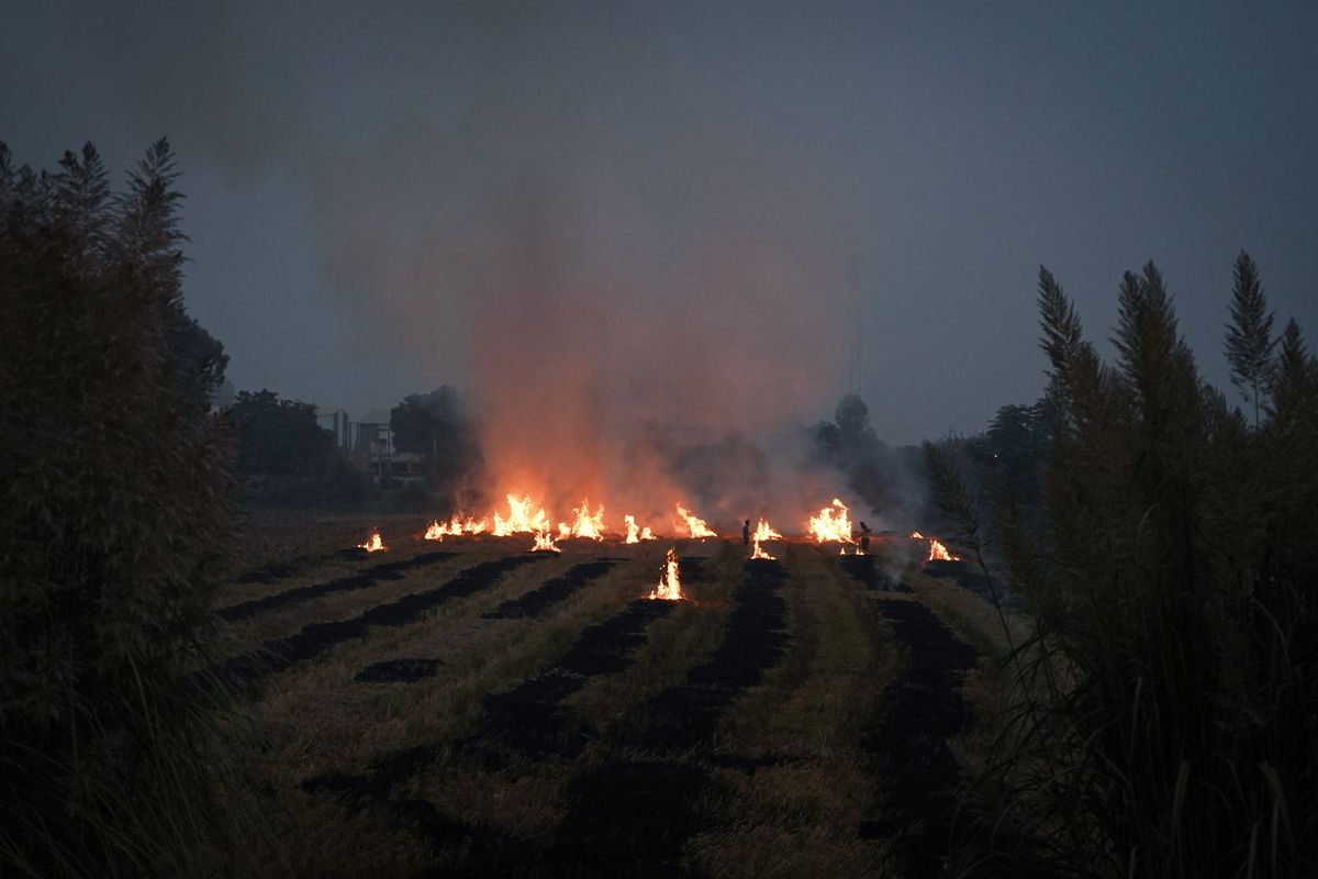 India, Pakistan arrest farmers for burning crop waste as pollution rises