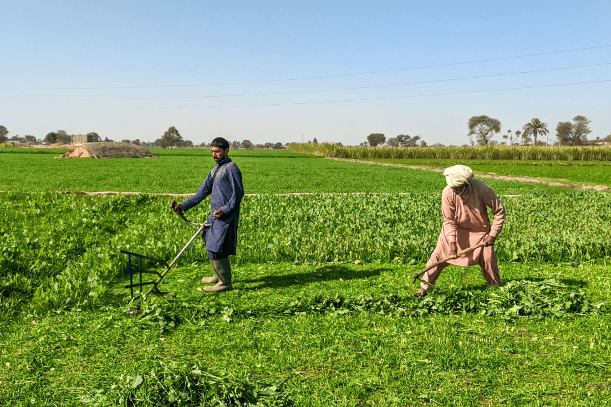 Pakistan’s average monthly income rises to PKR 39,042, labor survey shows