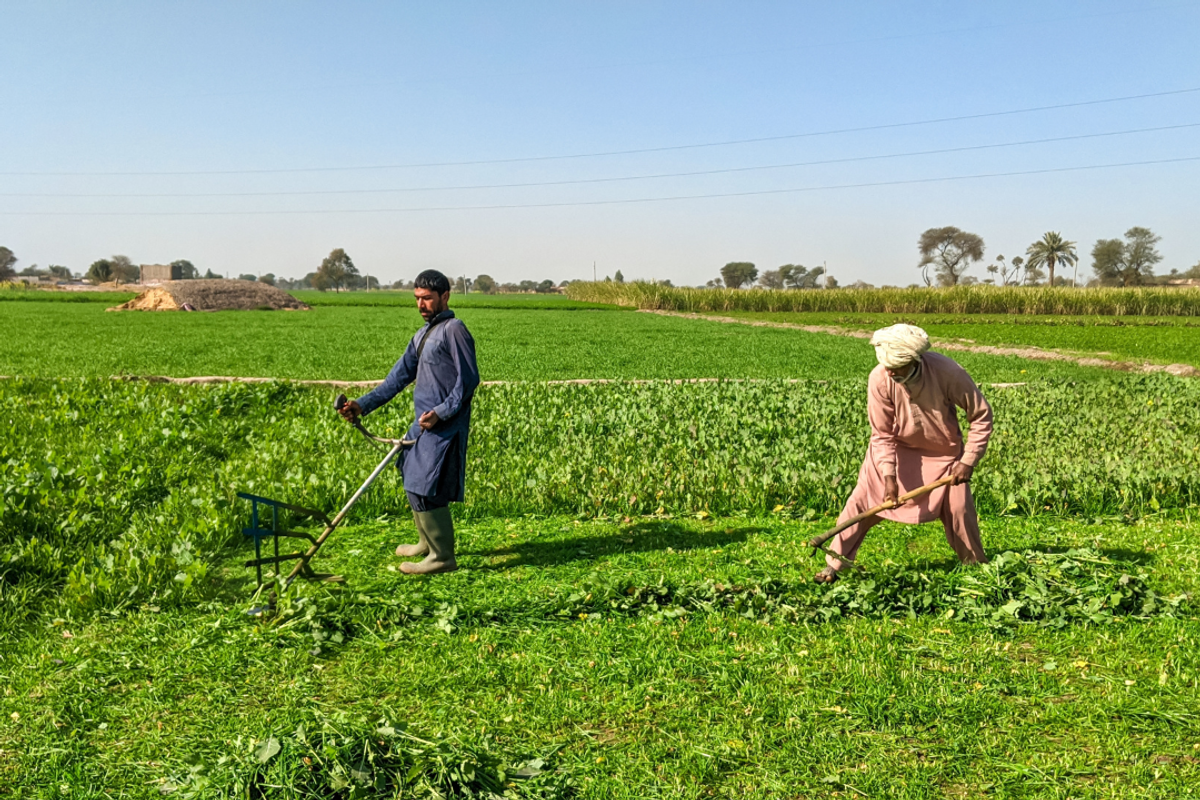 Pakistan’s average monthly income rises to PKR 39,042, labor survey shows