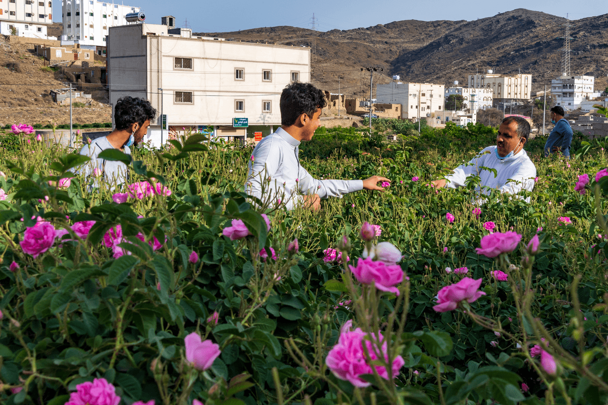 UNESCO adds six Arab practices to intangible cultural heritage list