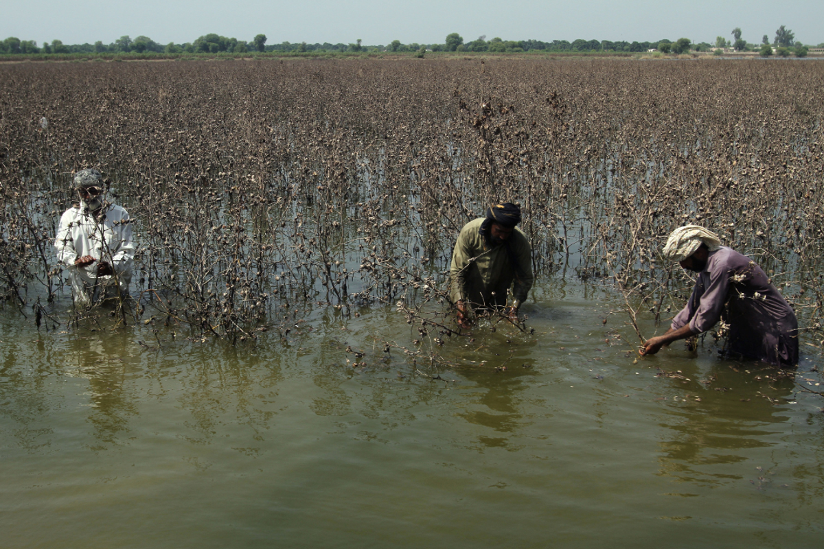 Global lenders approached to assess Pakistan flood damage ahead of IMF talks