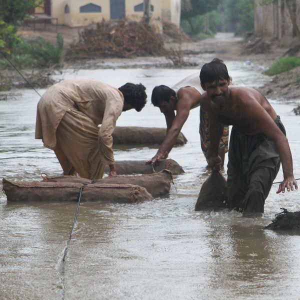 Flood devastation worsens in Pakistan’s Punjab province, South Punjab among worst-hit