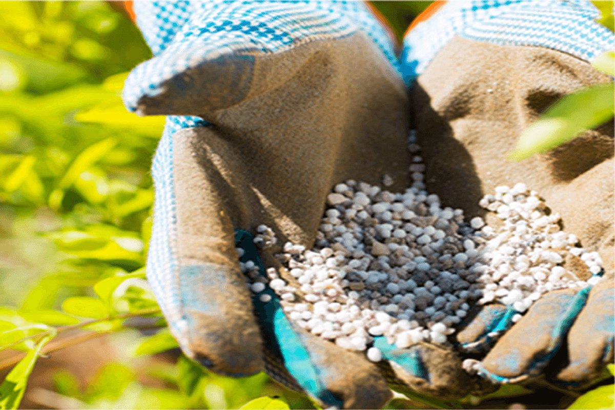 EFERT eyes gradual demand pickup for kharif season, projects lower urea sales in 2025