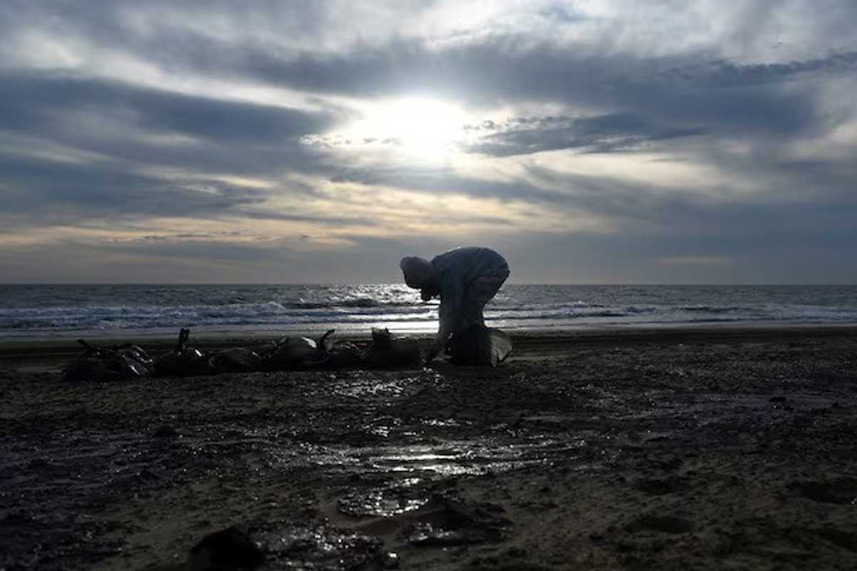 Russian region declares emergency situation as Black Sea oil spill fallout widens