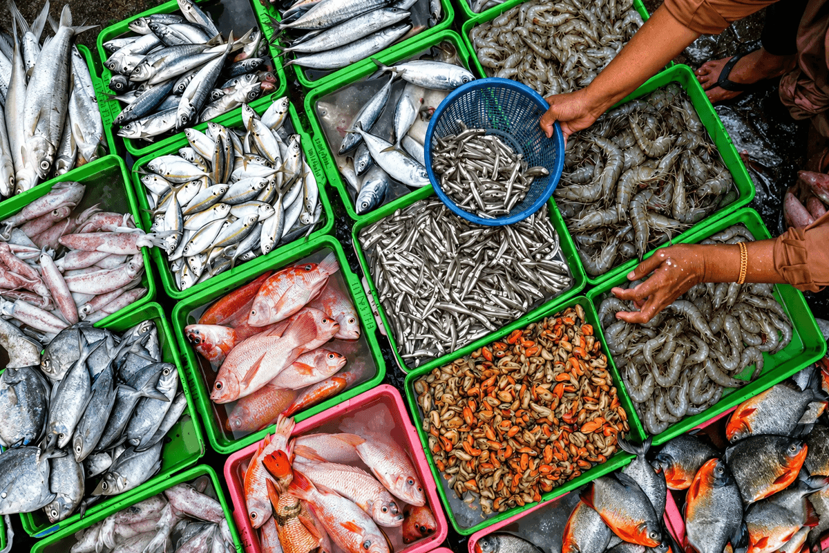 Pakistan seafood exports rise 74.4% to USD 125.4 million in first quarter