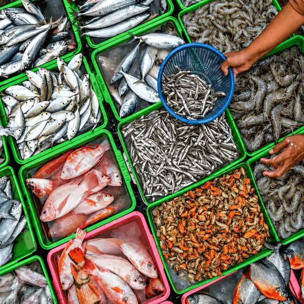 Pakistan seafood exports rise 74.4% to USD 125.4 million in first quarter