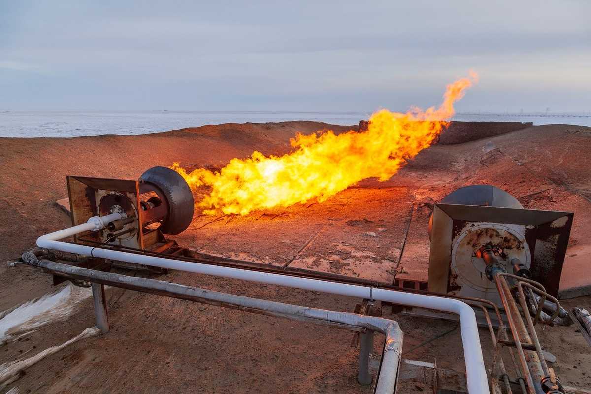 Pakistan Petroleum announces hydrocarbon discovery in Sindh