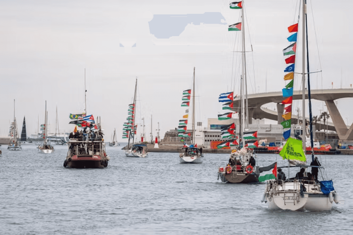 Israel says two Gaza flotilla activists brought in for questioning