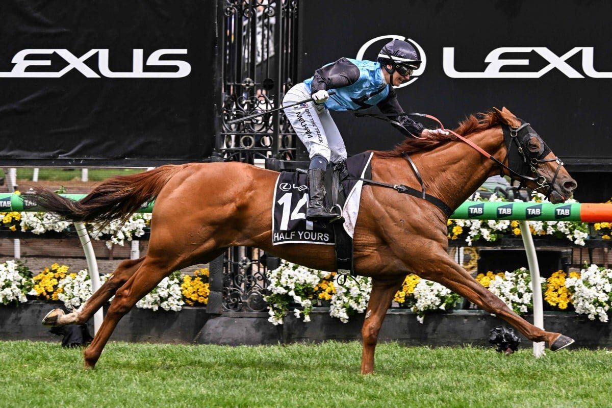 Trailblazer Melham rides Half Yours to Melbourne Cup glory