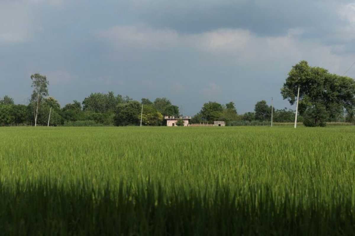 Indians in Punjab fear dispute with Canada endangers work, study plans