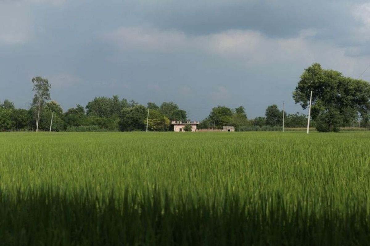 Indians in Punjab fear dispute with Canada endangers work, study plans