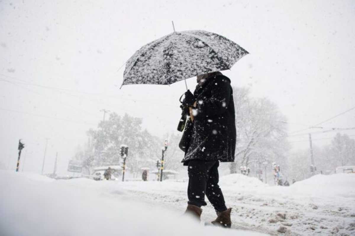 Finland snowstorm leaves tens of thousands without power
