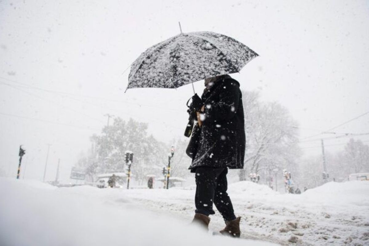 Finland snowstorm leaves tens of thousands without power