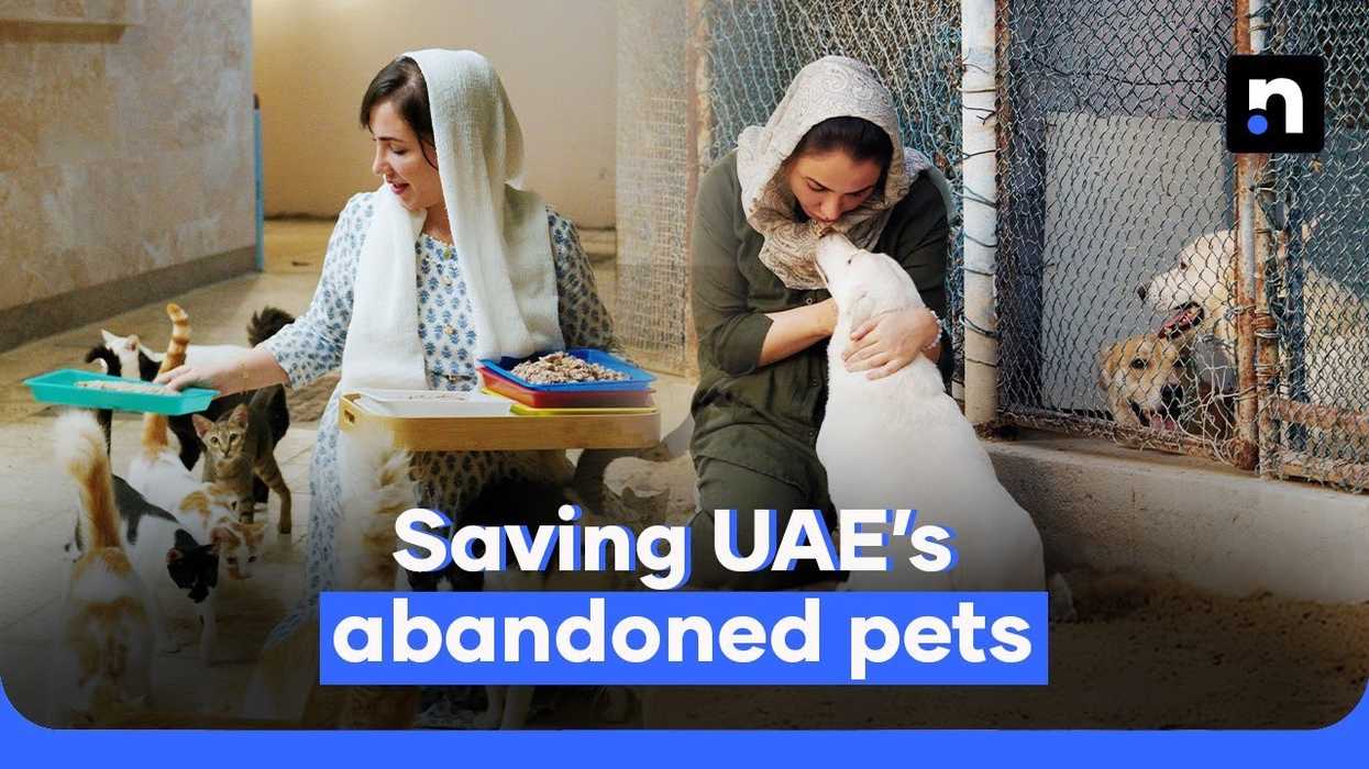 Saving abandoned animals: One woman's mission of hope in the UAE