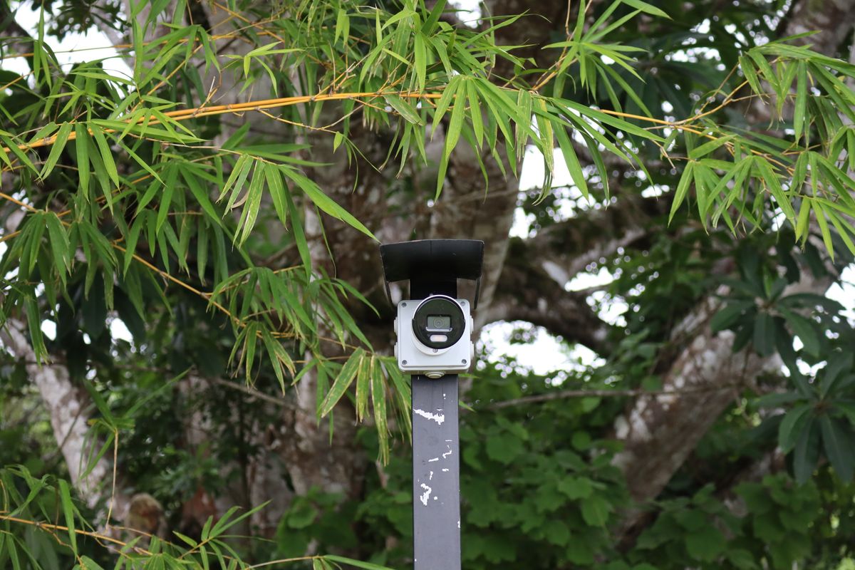 How wildlife monitoring tech is used to harass, spy on women in India