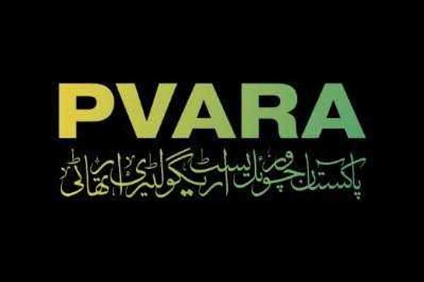 Pakistan opens licensing process for virtual asset service providers