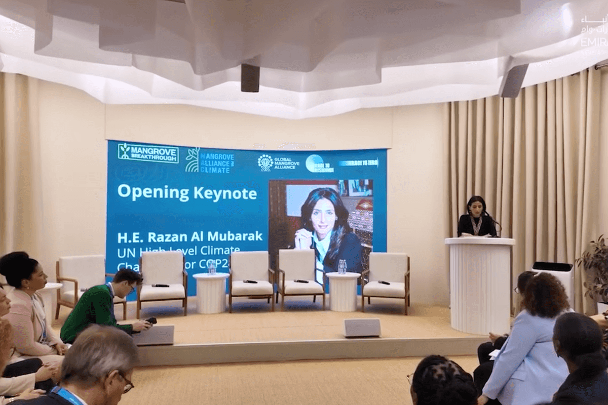 UAE's COP29 Pavilion: Mangroves pledge and pioneering climate sessions