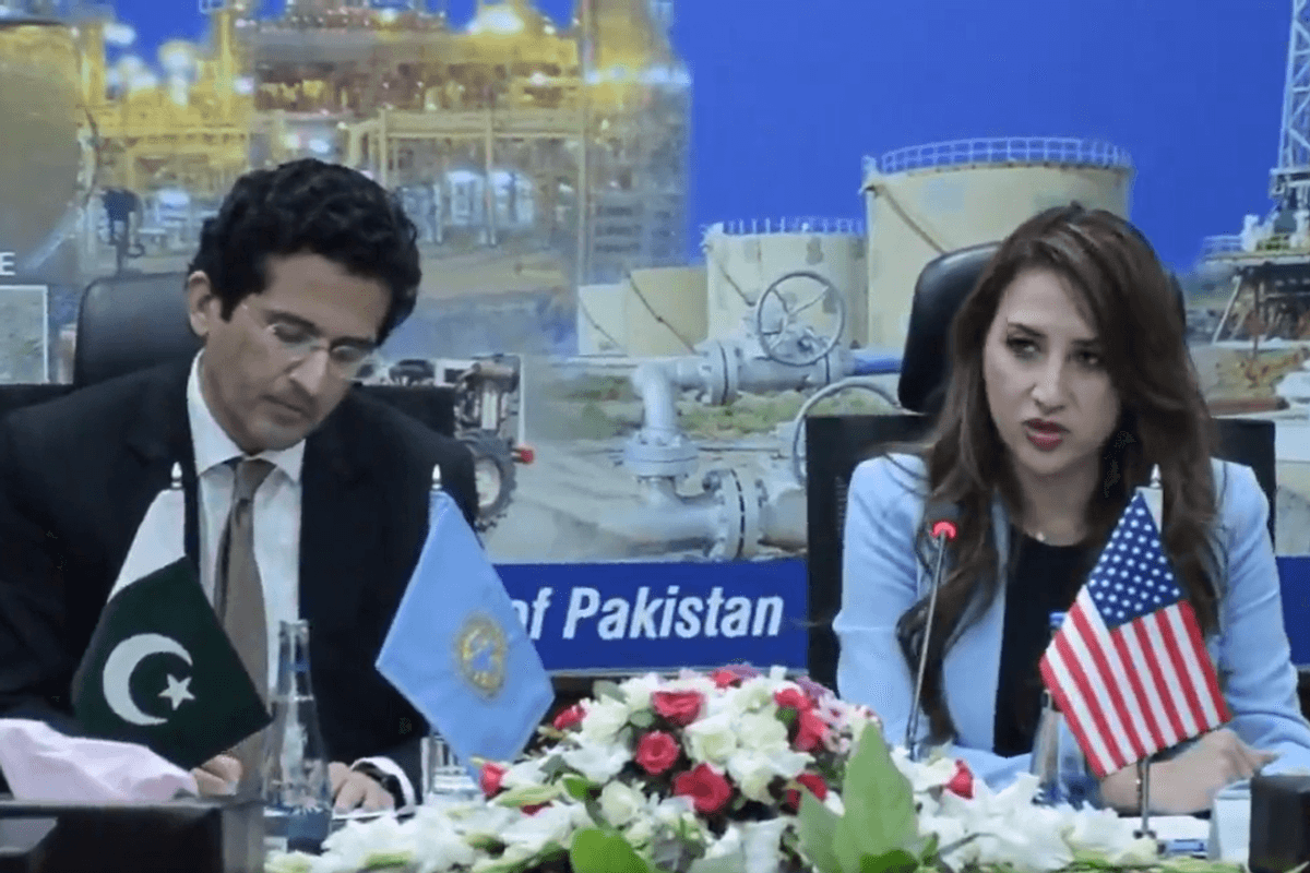 US diplomat urges American investors to tap Pakistan’s mining potential