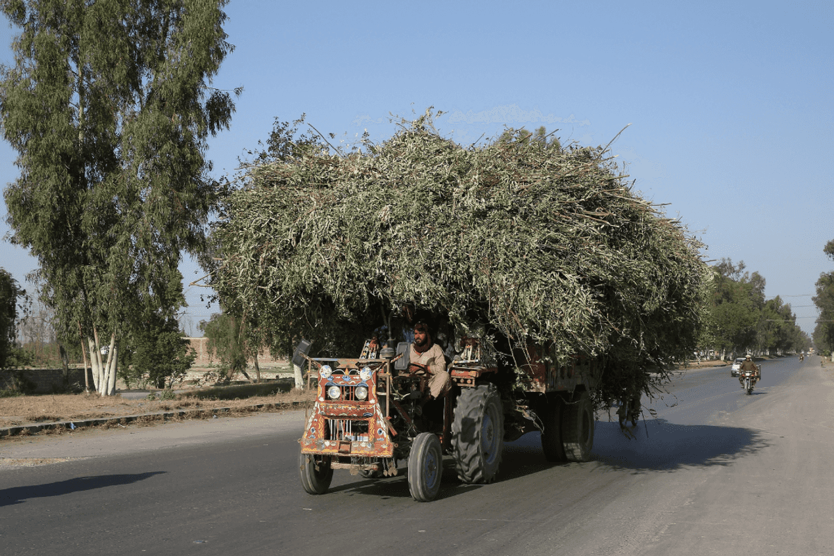 Pakistan launches first fully subscribed PKR 2B agri-infrastructure Sukuk