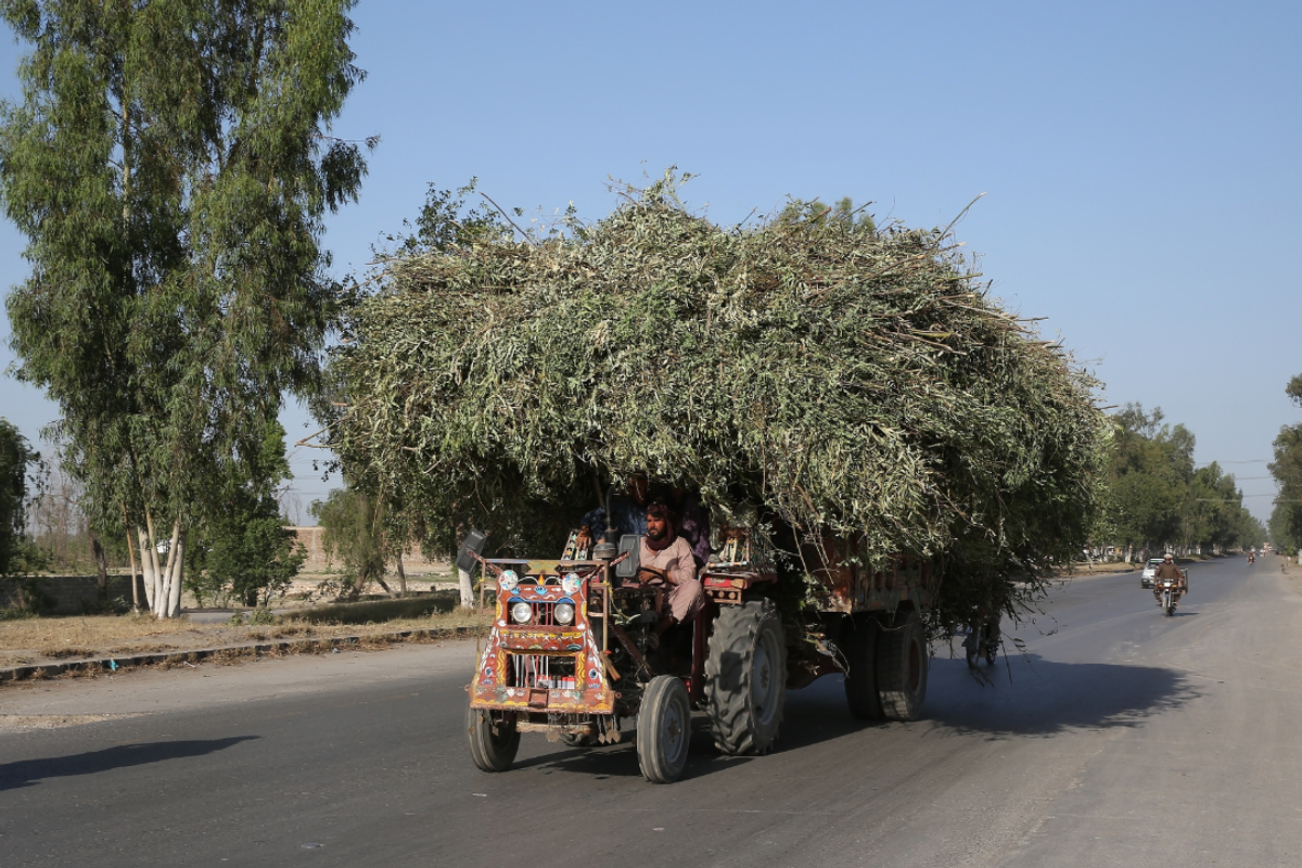 Pakistan launches first fully subscribed PKR 2B agri-infrastructure Sukuk