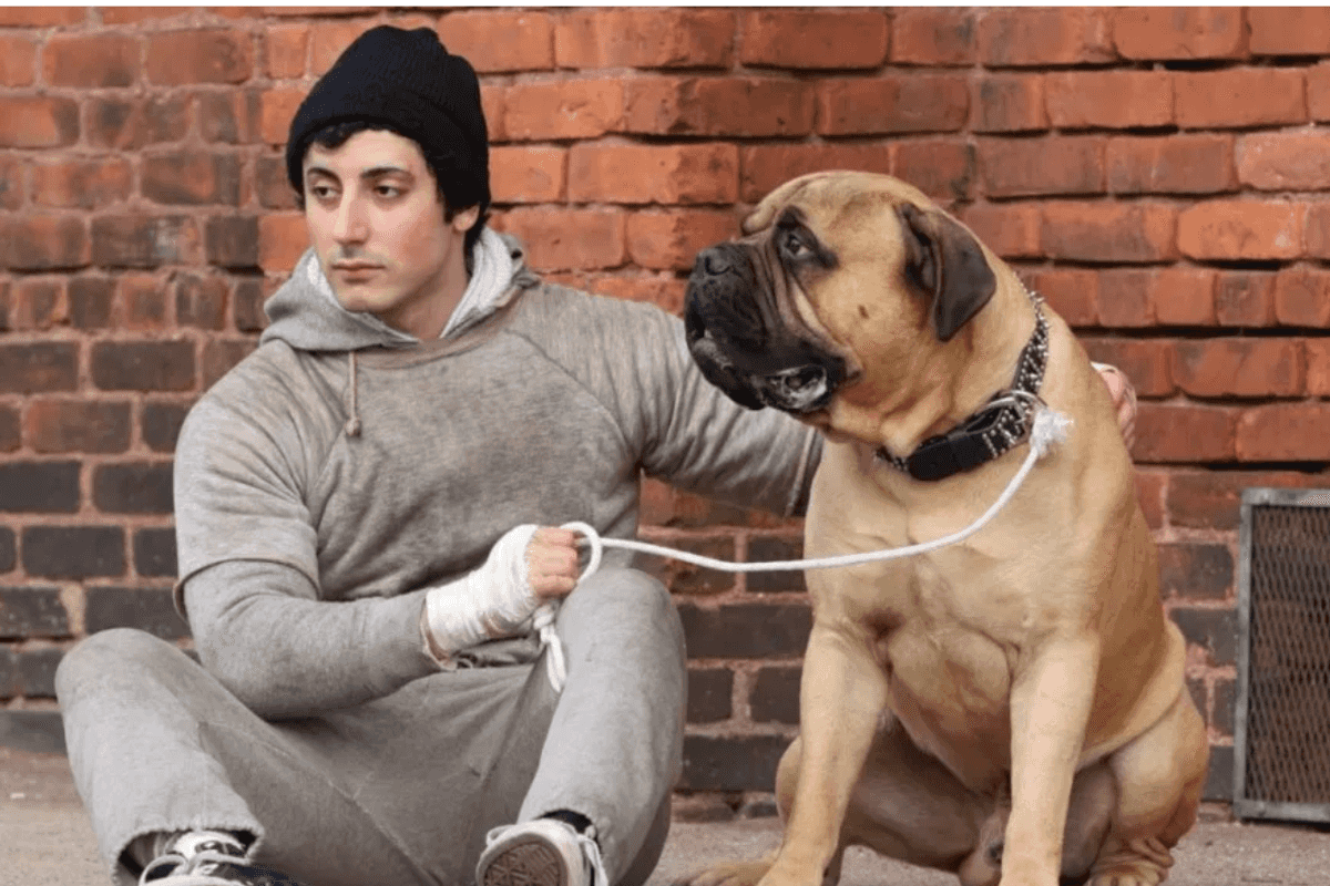 Trailer for ‘I Play Rocky’ offers look at Sylvester Stallone’s rise from hardship to Hollywood fame