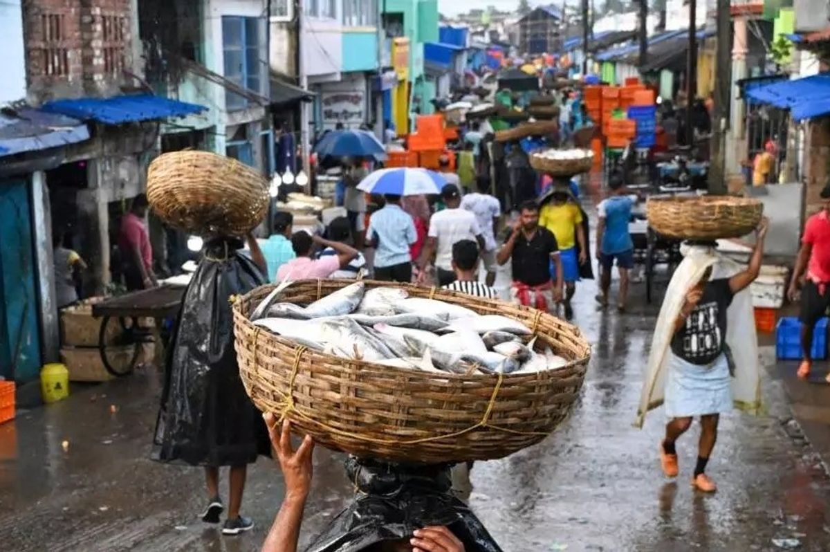 Fishy business caught by fraying India-Bangladesh ties