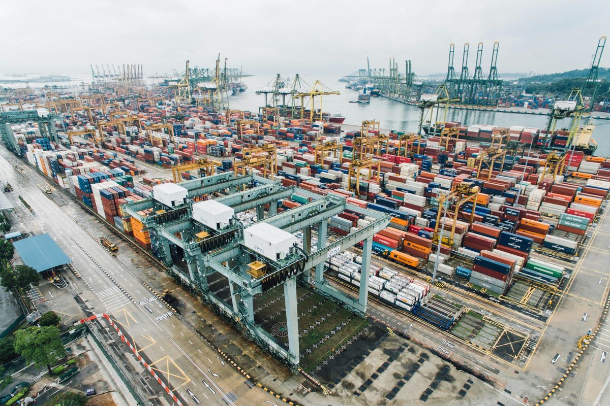 Pakistan’s logistics sector loses $36 billion annually due to offline trade