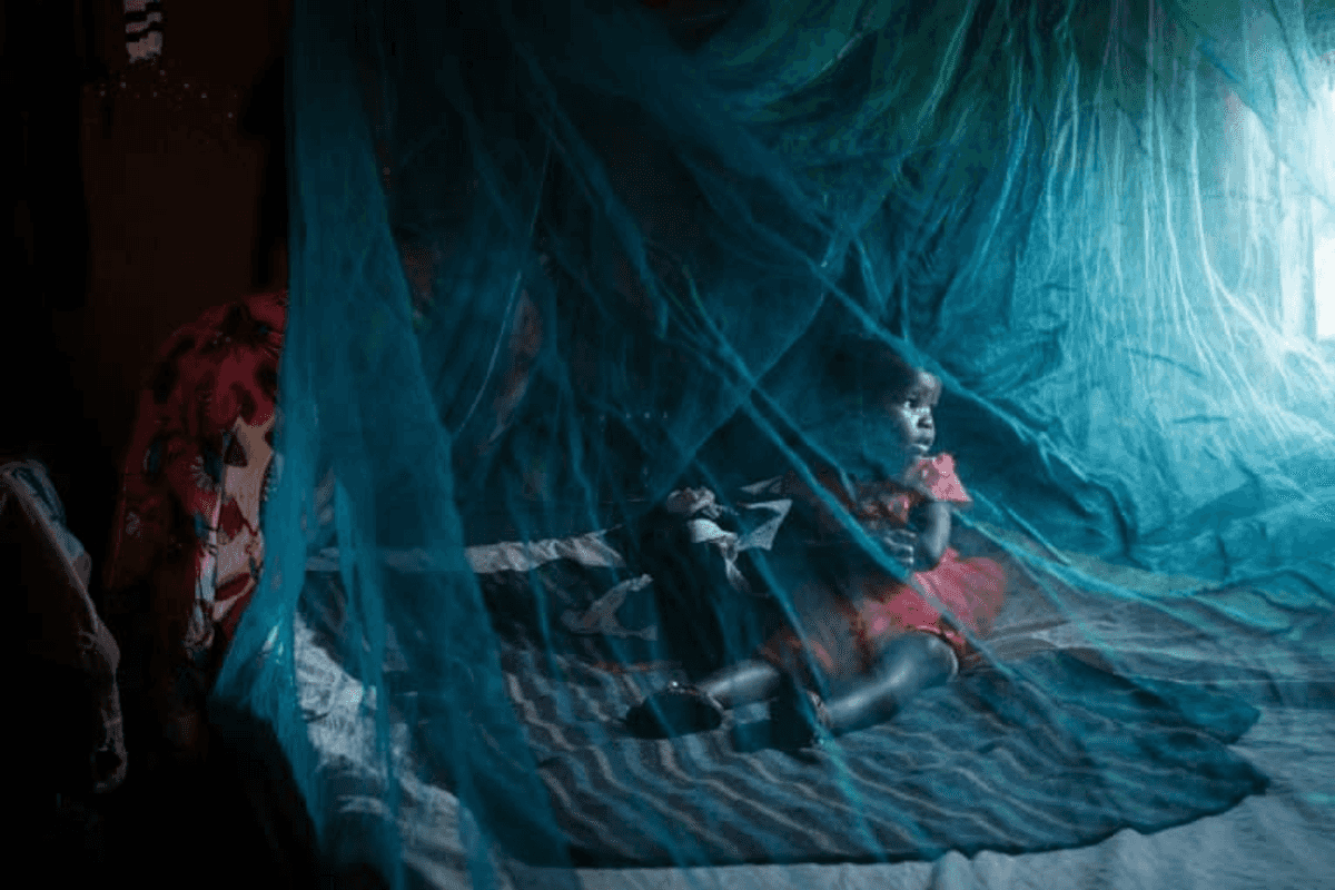 Malaria mortality returns to pre-Covid levels: WHO