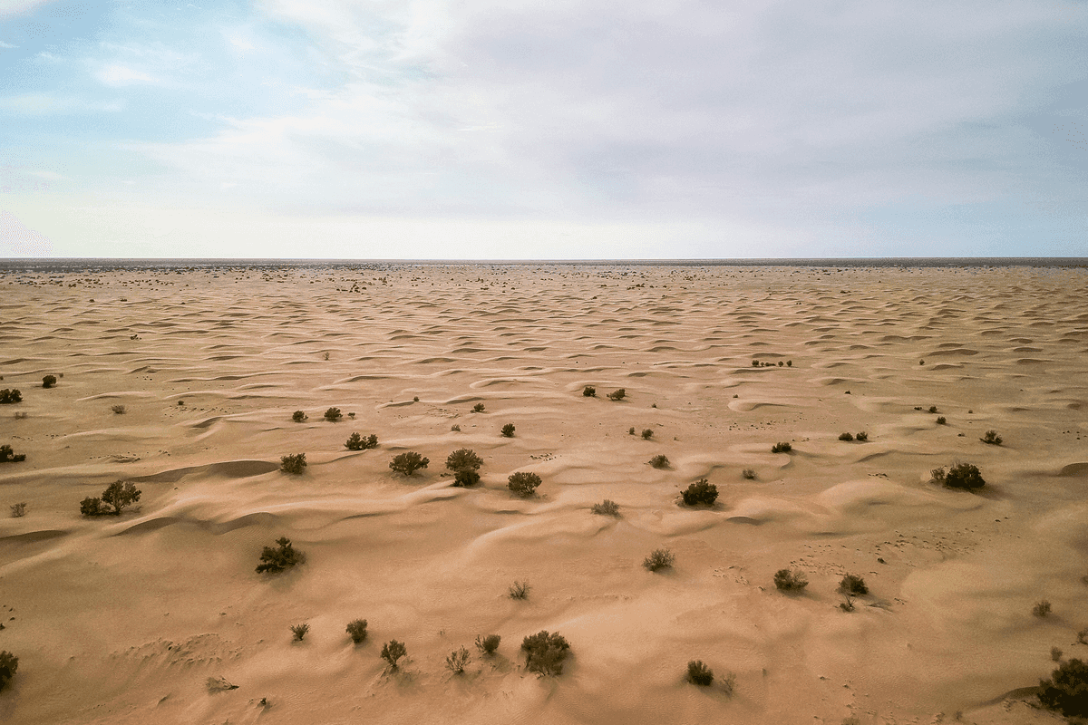 UAE researchers develop sustainable method to improve sandy soils