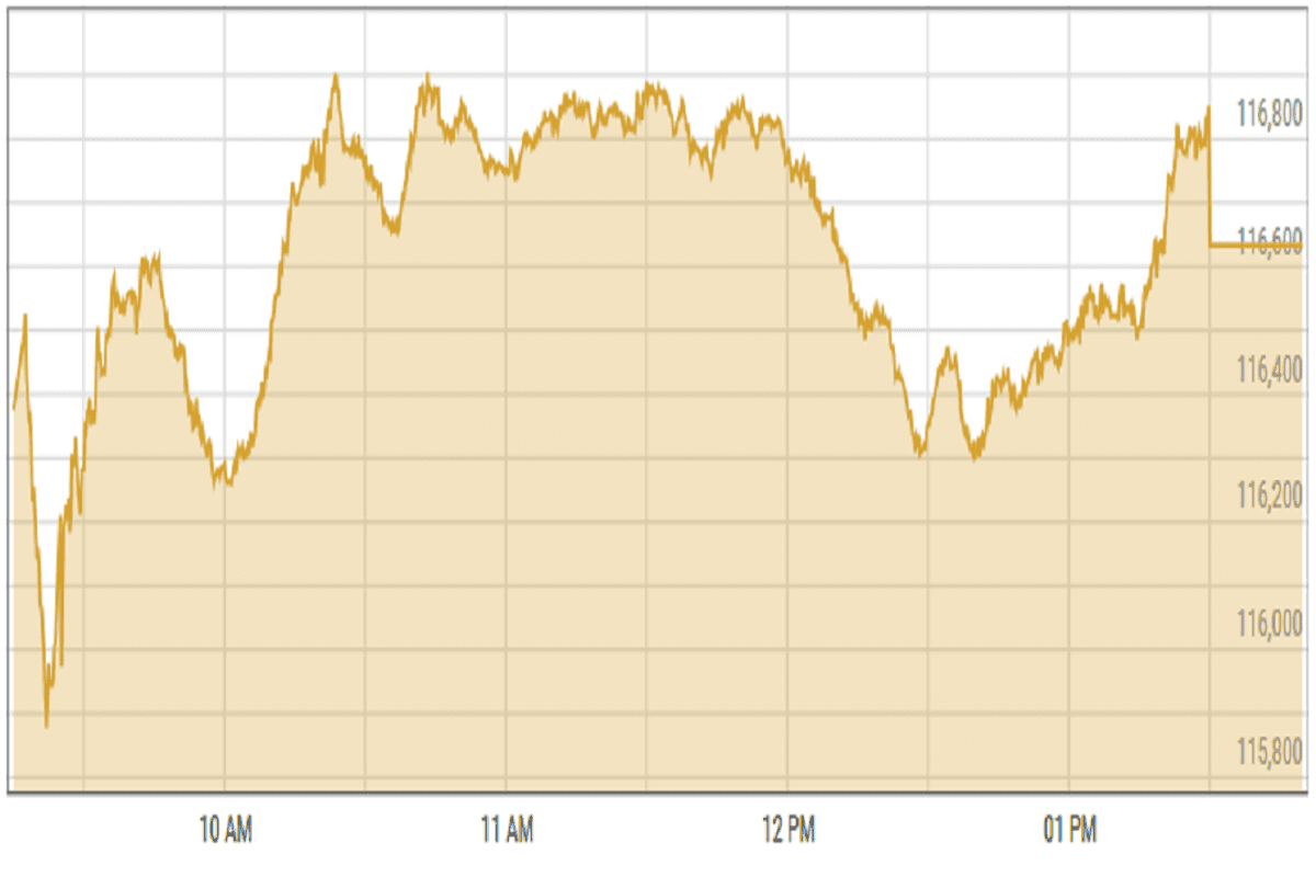 Pakistan stocks end higher in volatile trade