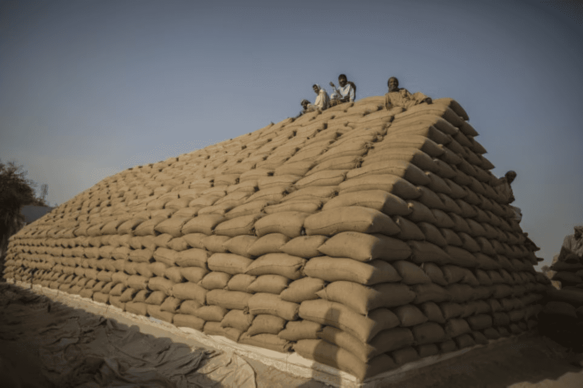 SECP proposes national agricultural spot market to cut crop losses, expand farm credit