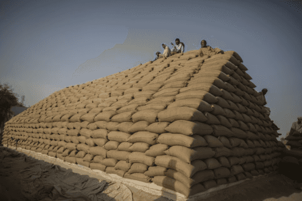 SECP proposes national agricultural spot market to cut crop losses, expand farm credit
