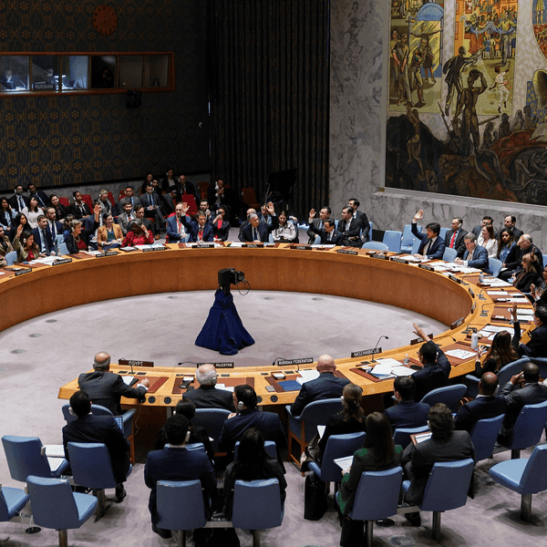 UN Security Council condemns drone attack on UAE nuclear plant