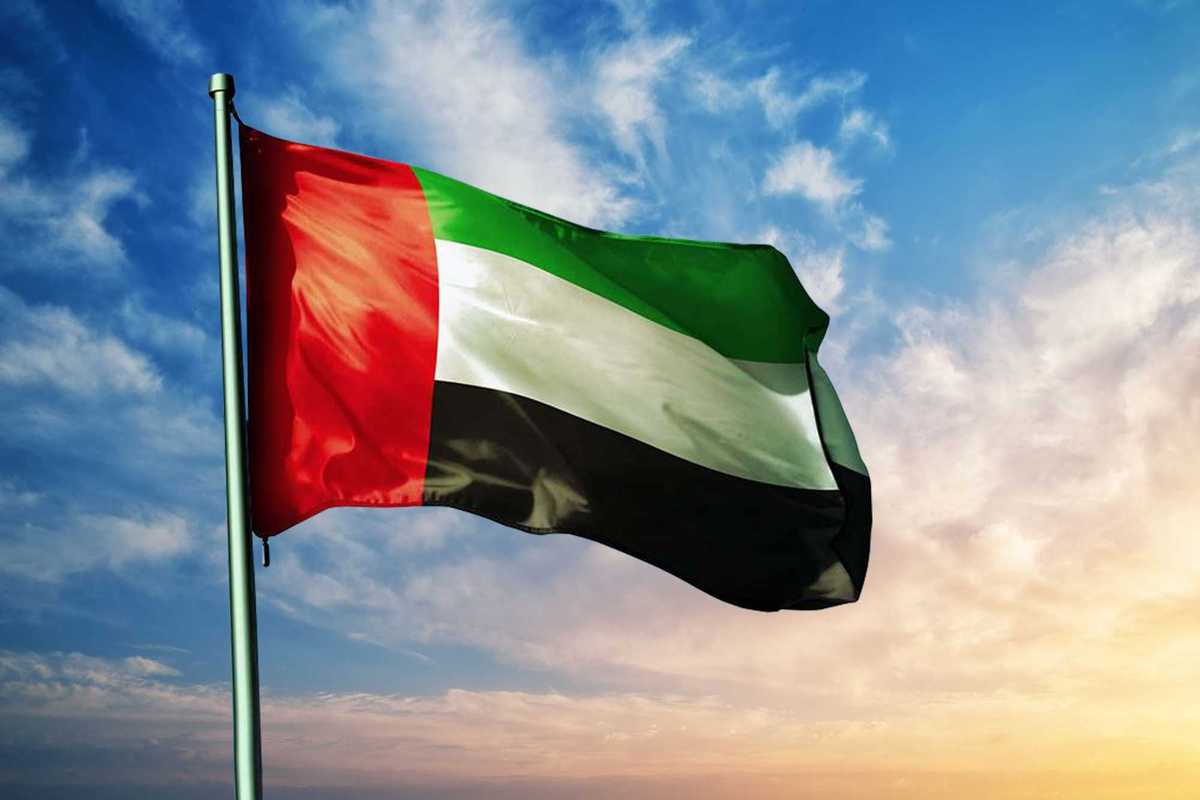 UAE takes legal action against 266 firms over fake Emiratization cases