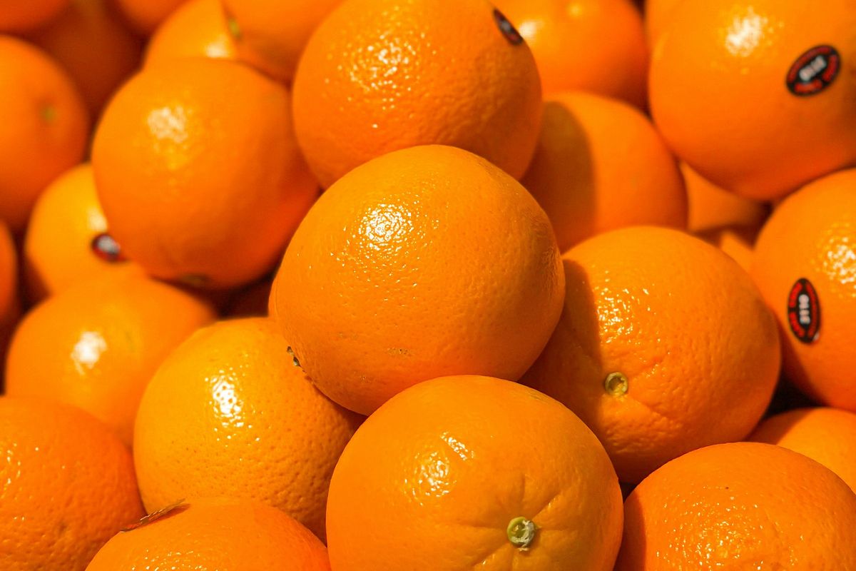 Half of Pakistan's kinnow processing factories closed due to lack of research