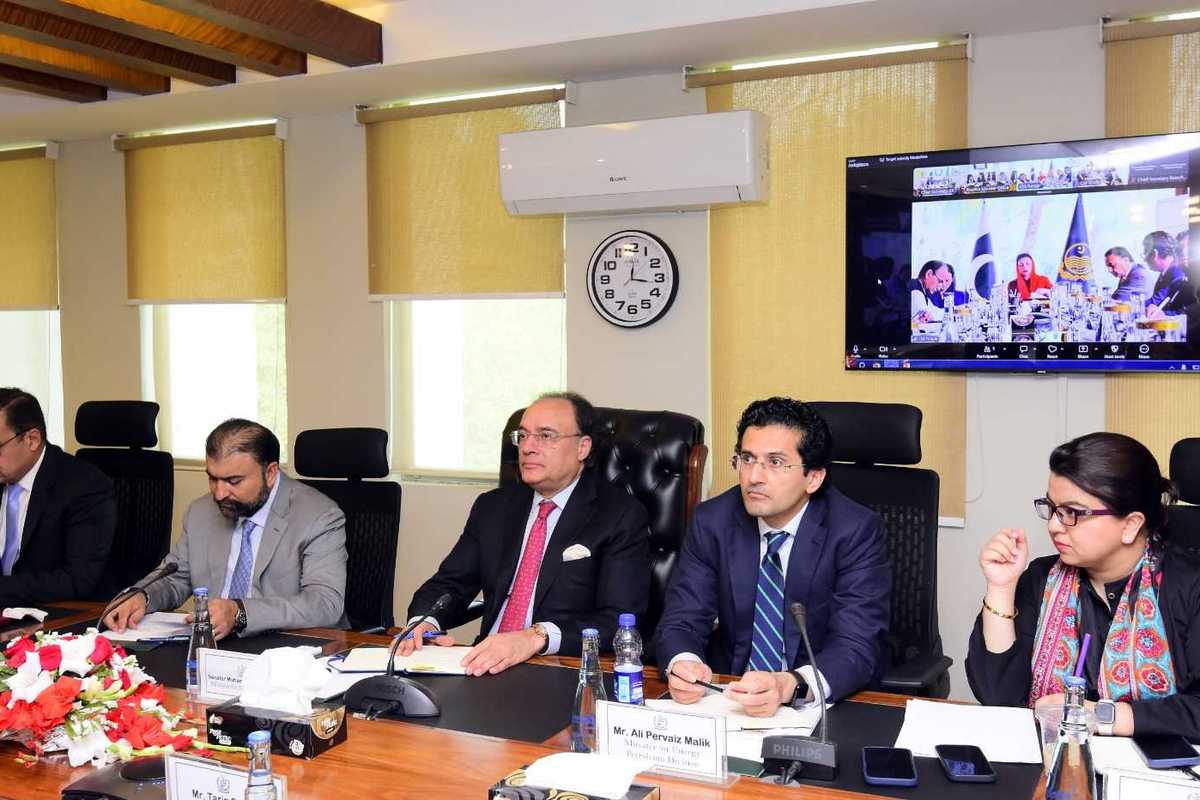 Pakistan govt, provinces to develop joint targeted fuel subsidy plan