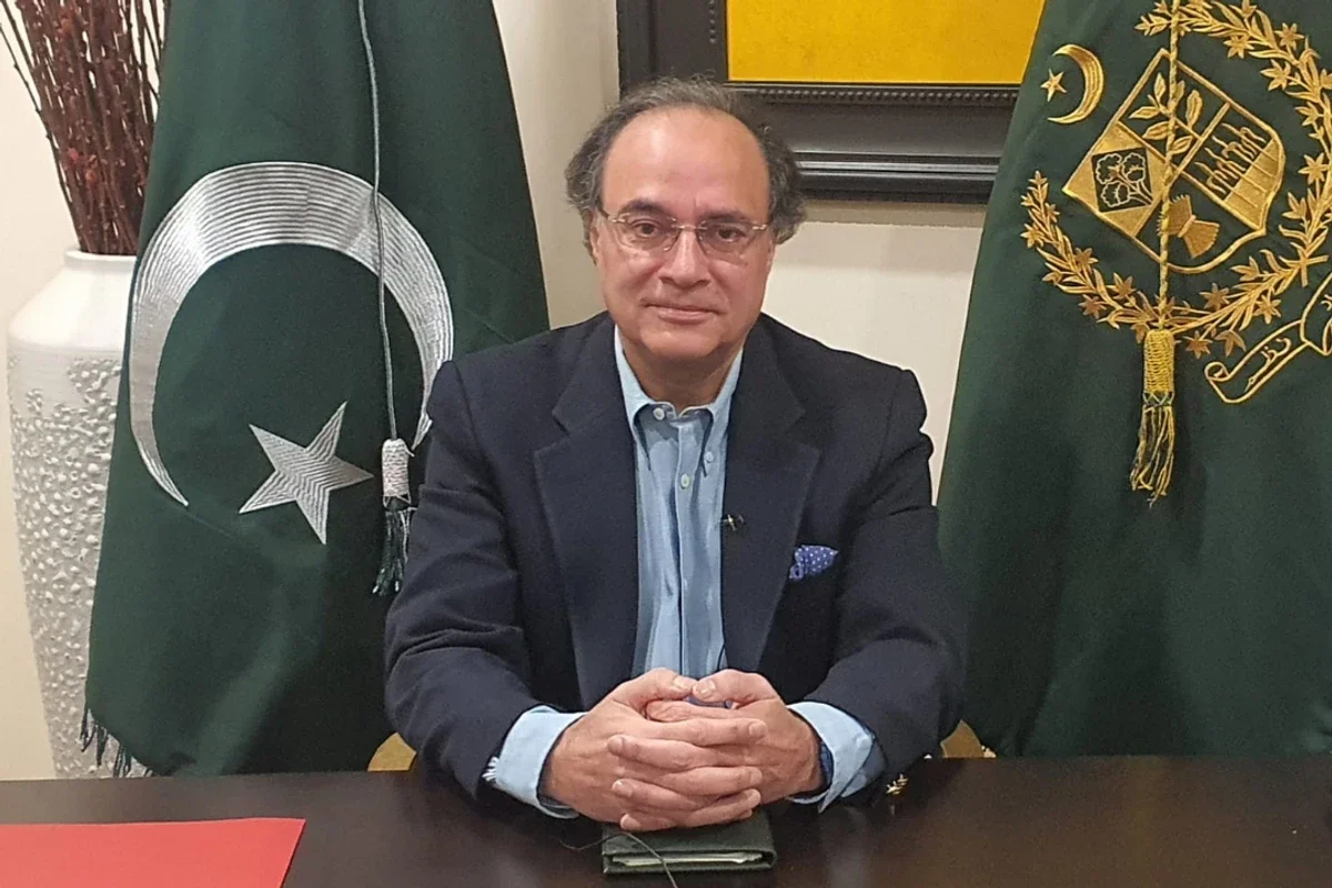 Twin deficits threaten Pakistan's economic growth, says finance minister