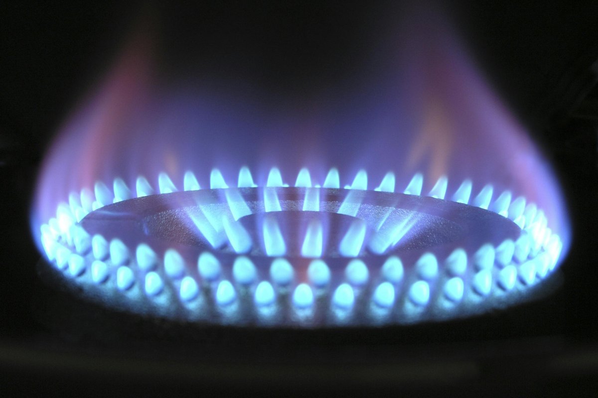 Pakistan regulator proposes up to 8% cut in gas price