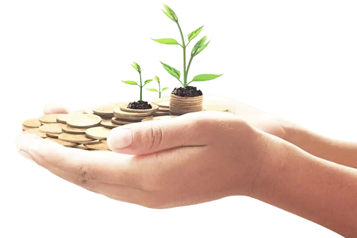 Pakistan's National Savings reduces profit rates amid continuous monetary easing